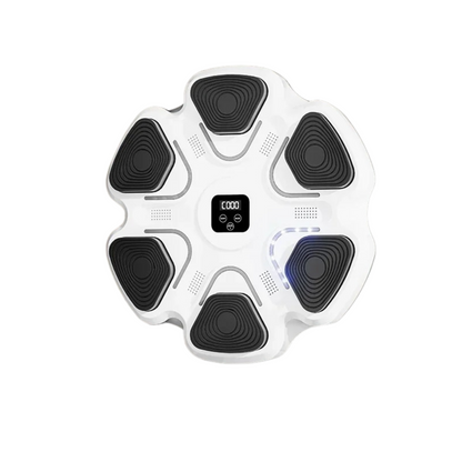 StrikeSesnse Pro Boxing Pad